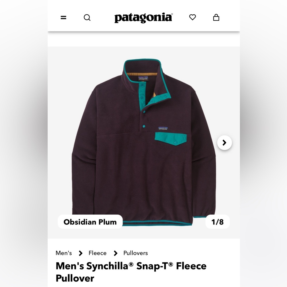 Patagonia Synchilla Men’s Fleece in Navy